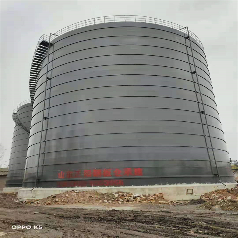 栾城3万吨大型钢板库