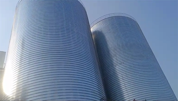 栾城2座混凝土高架卷板仓